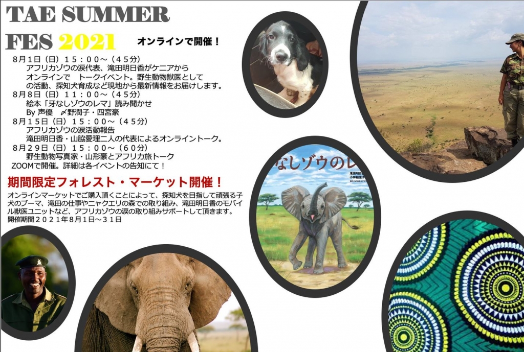 2021 「アフリカゾウの涙」８月の夏フェス開催